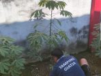 IMG-20250723-WA0064