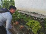 IMG-20250723-WA0091
