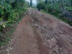 IMG-20260805-WA0033
